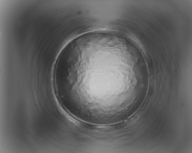 X0000074971483200609081358