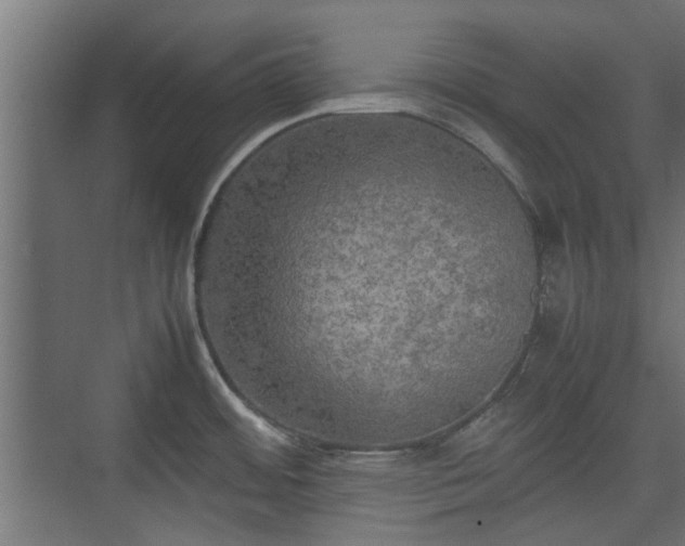 X0000074971484200609081358