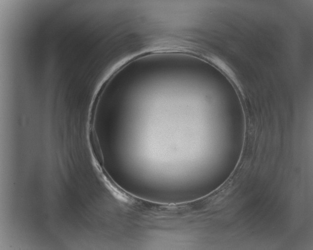 X0000074971485200609081358