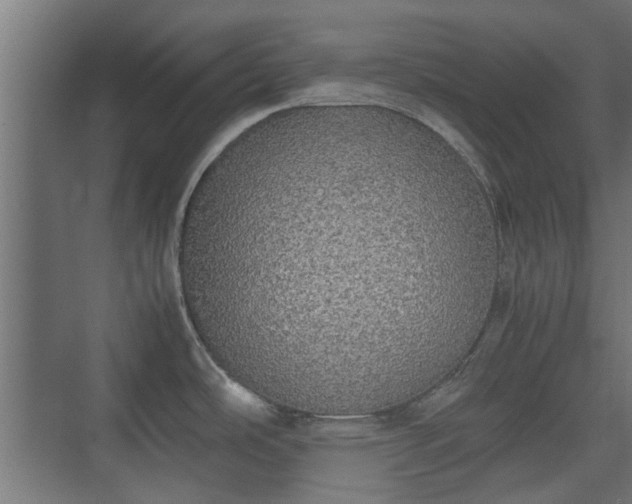 X0000074971486200609081358