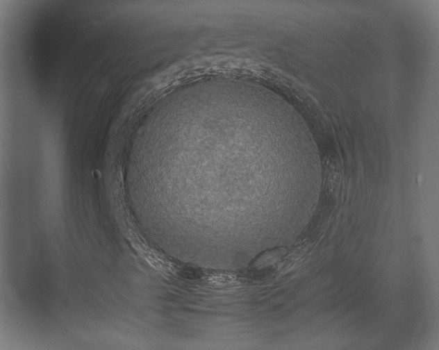 X0000074971489200609081357