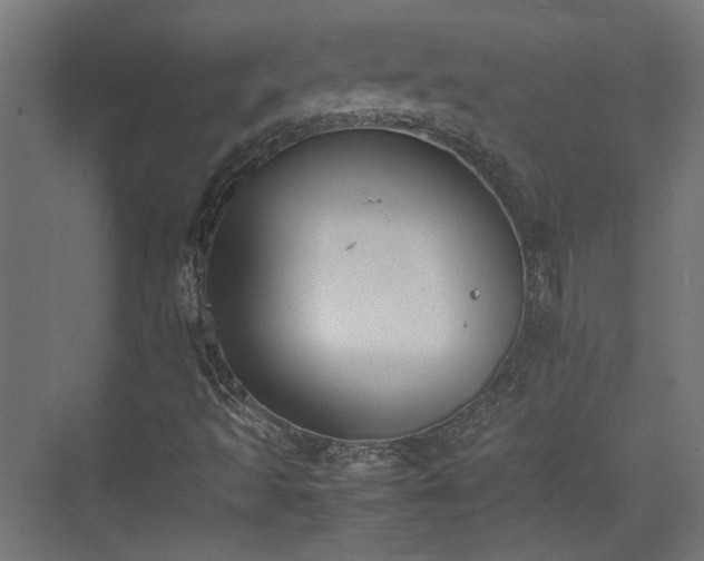 X0000074971493200609081357