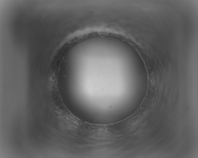 X0000074971495200609081358