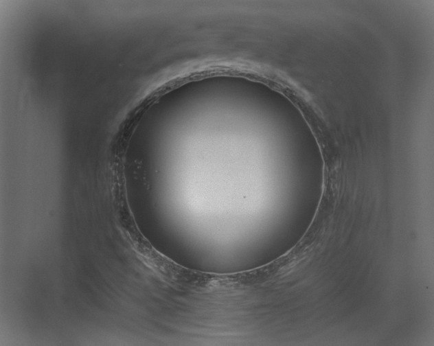 X0000074971496200609081358