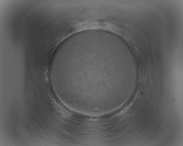 X0000074971497200609081358