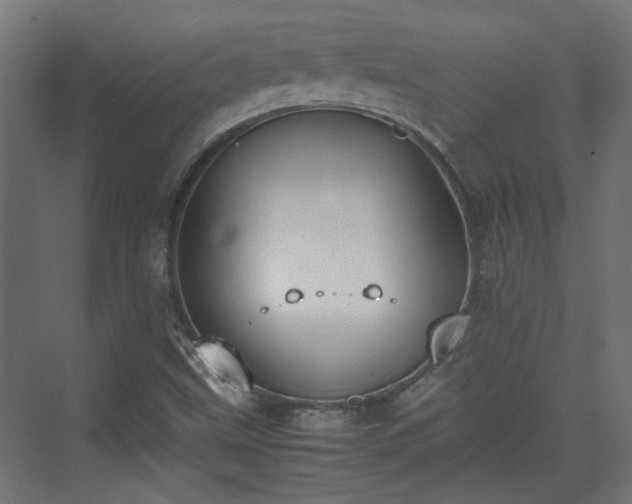 X0000074971499200609081358