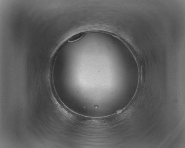 X0000074971500200609081358