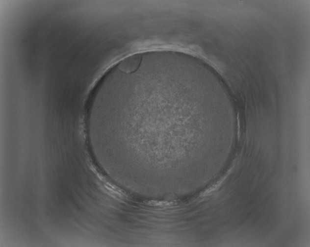 X0000074971501200609081358