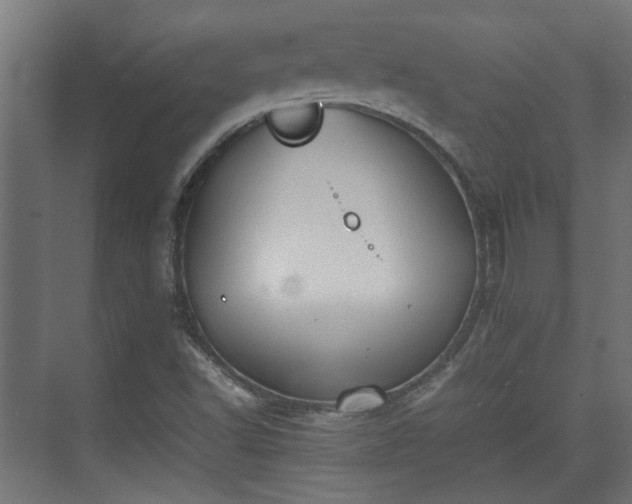 X0000074971502200609081358