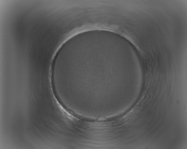 X0000074971508200609081358