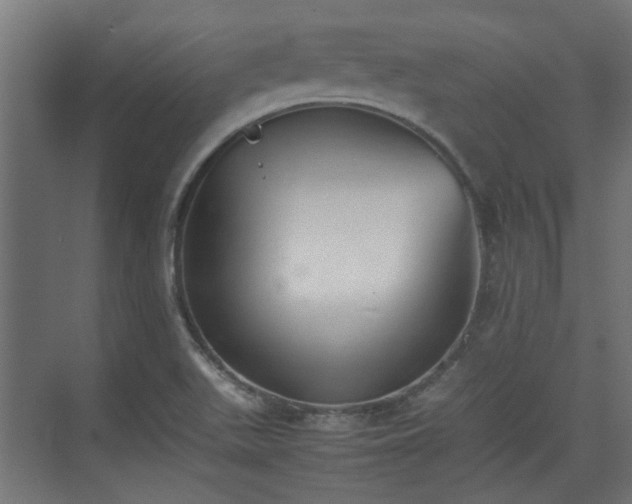 X0000074971511200609081358