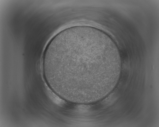 X0000074971514200609081358