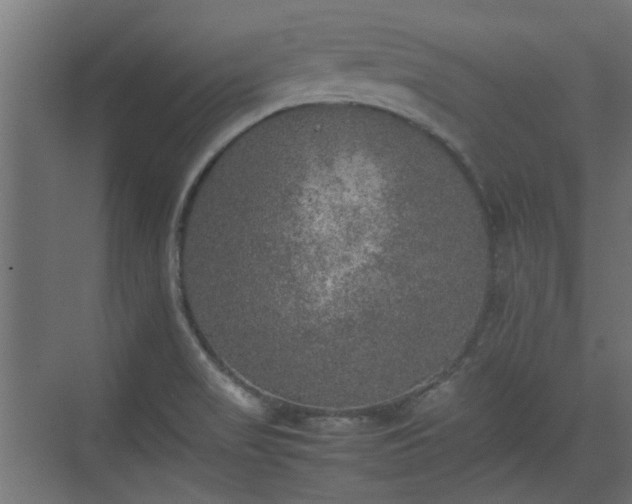 X0000074971517200609081358