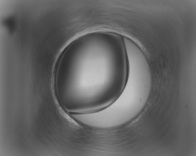 X0000074971518200609081358