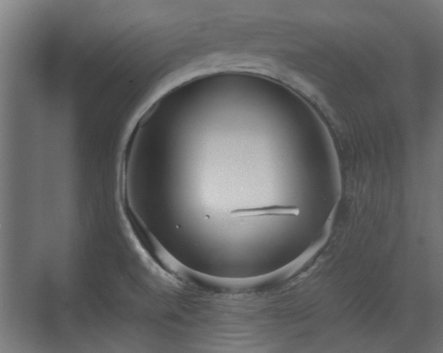 X0000074971520200609081358