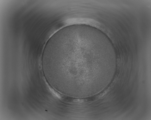 X0000074971521200609081358