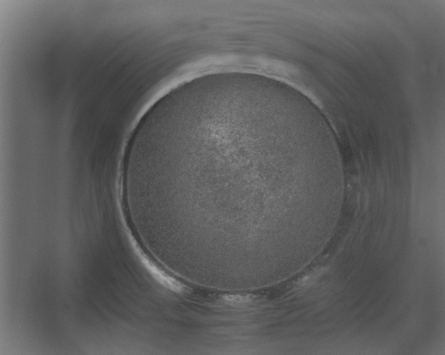 X0000074971523200609081358