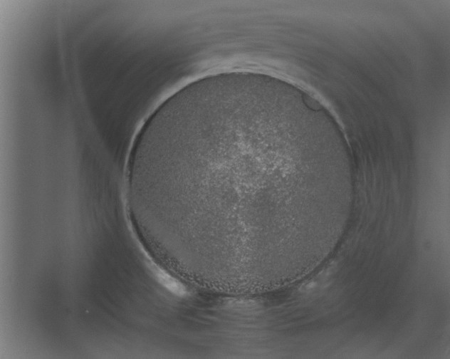 X0000074971525200609081358