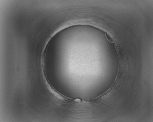 X0000074971526200609081358