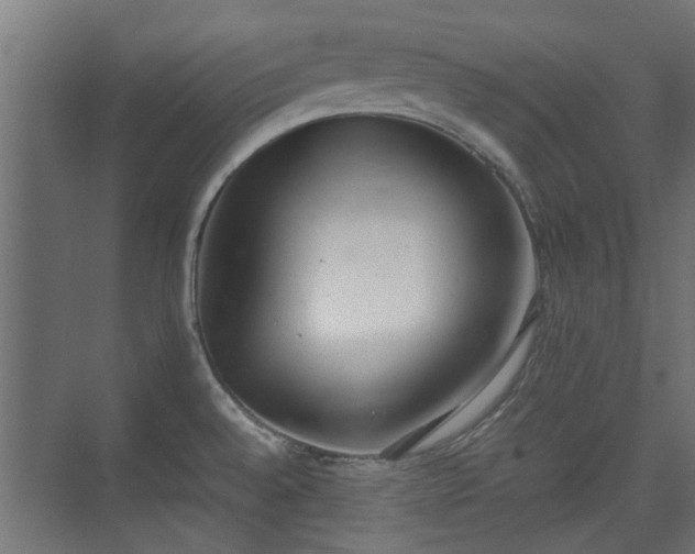 X0000074971528200609081358