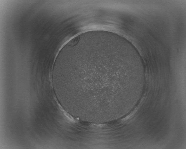 X0000074971529200609081358