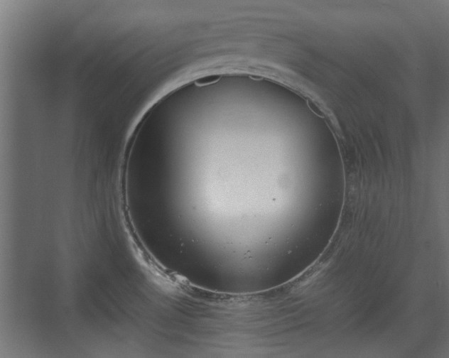 X0000074971530200609081358