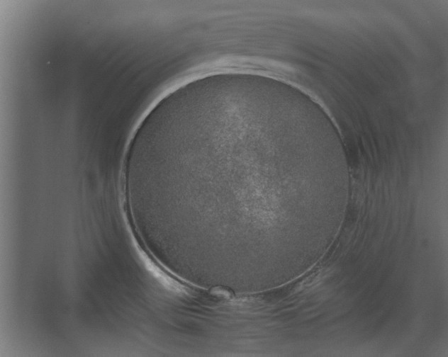 X0000074971531200609081358