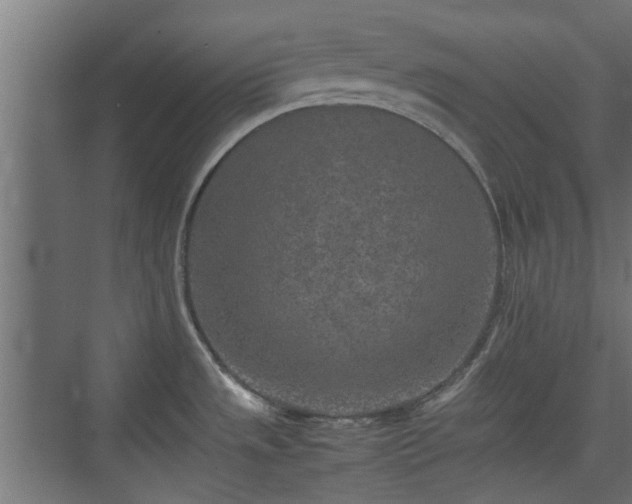 X0000074971533200609081358