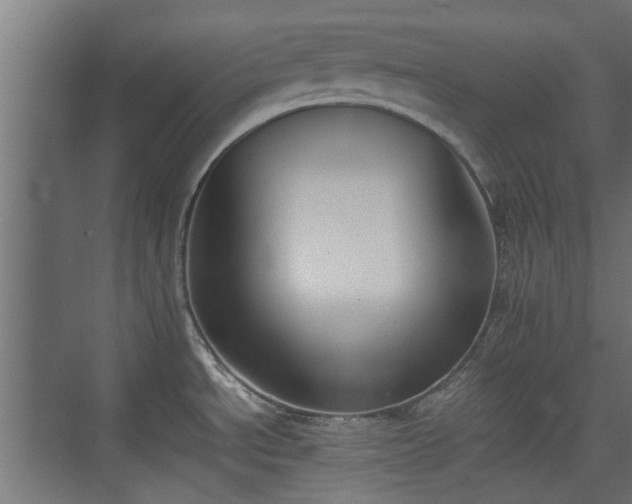 X0000074971534200609081358