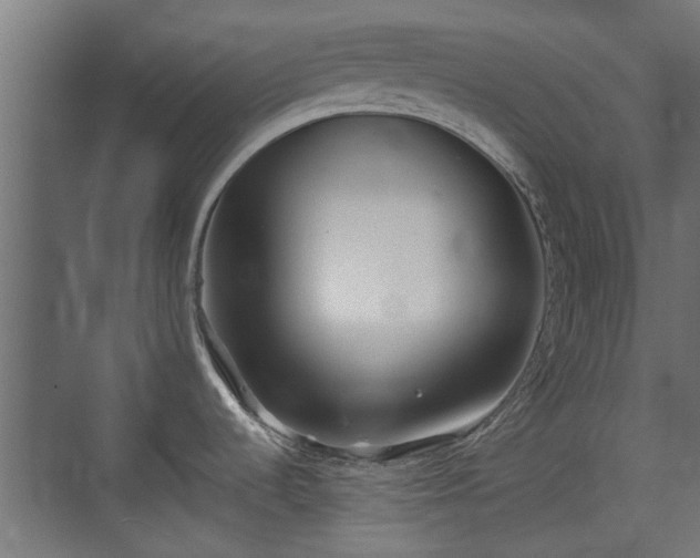 X0000074971536200609081358