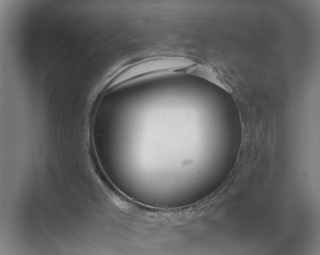 X0000074970005200609152134