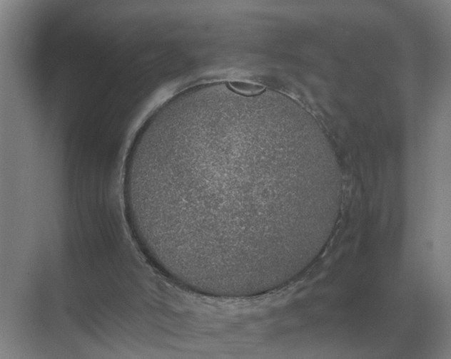 X0000074970006200609152134