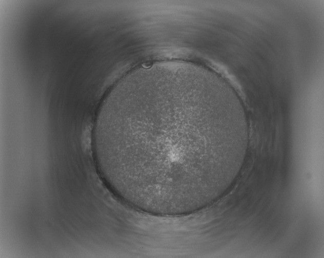 X0000074970010200609152134