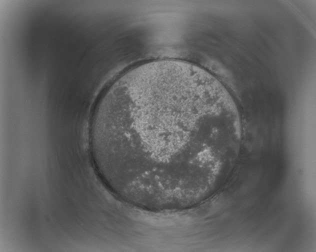 X0000074970012200609152134