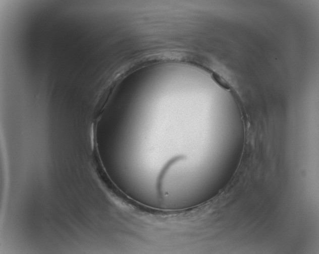 X0000074970013200609152134