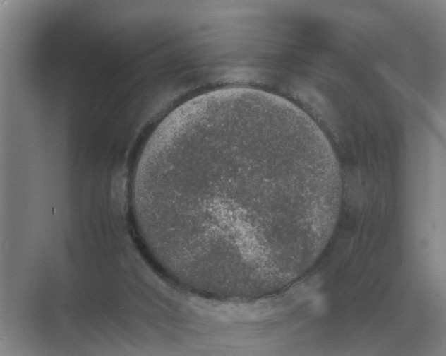 X0000074970016200609152134