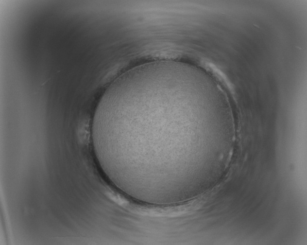 X0000074970017200609152134