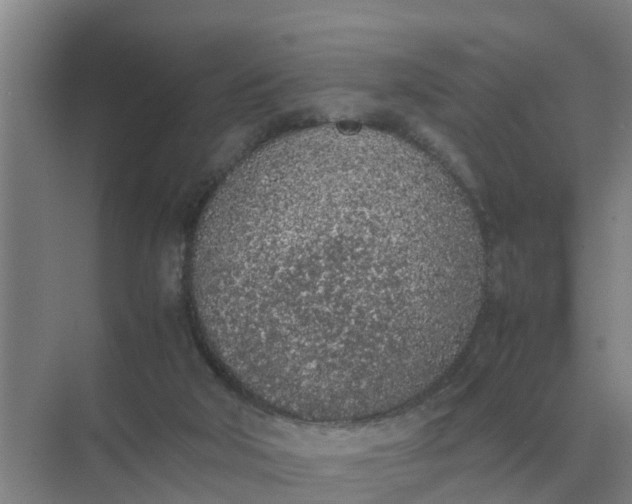 X0000074970018200609152134