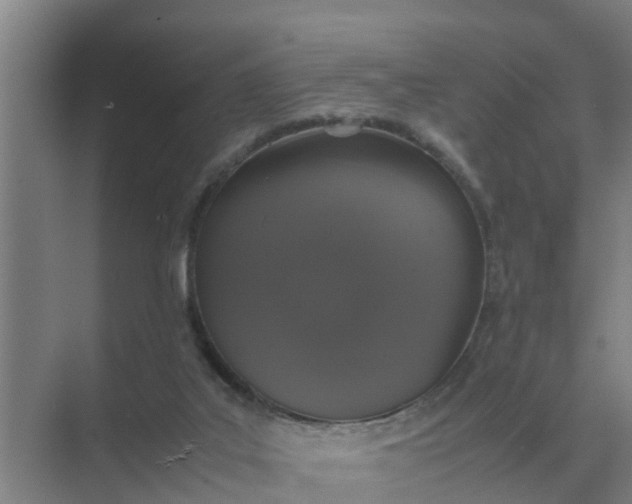 X0000074970019200609152134