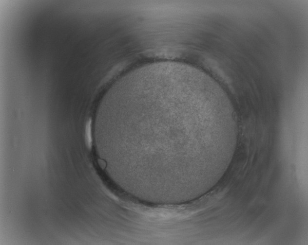 X0000074970020200609152134