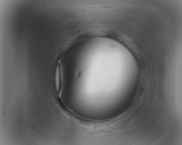 X0000074970021200609152134