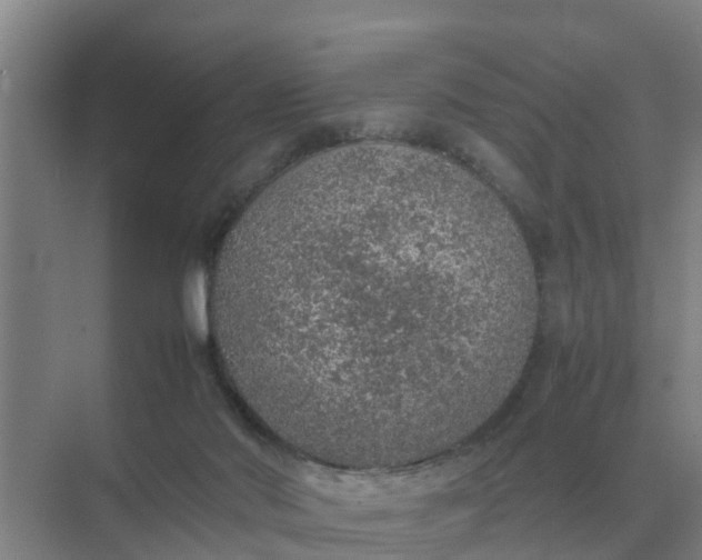 X0000074970022200609152134