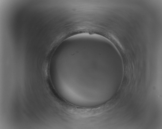 X0000074970023200609152134