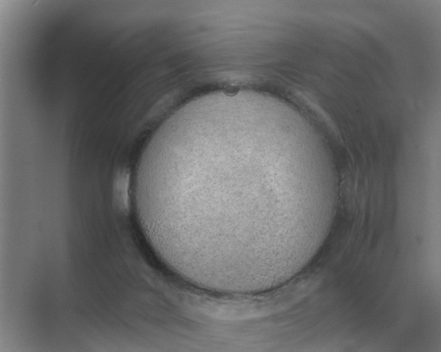 X0000074970024200609152134