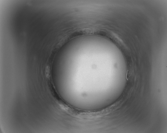 X0000074970025200609152134