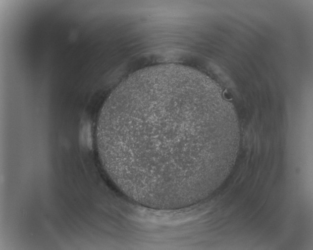 X0000074970026200609152134