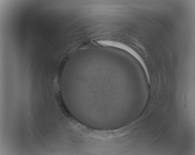 X0000074970029200609152134