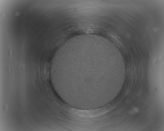 X0000074970030200609152134