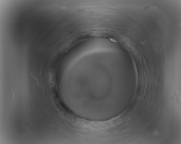 X0000074970031200609152134