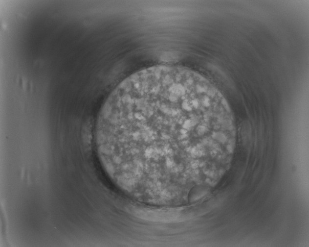 X0000074970032200609152134